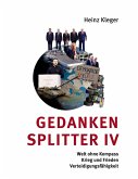 Gedankensplitter IV