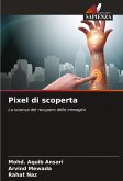 Pixel di scoperta Pixel di scoperta