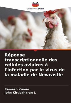 Cover Réponse transcriptionnelle des cellules aviaires à l'infection par le virus de la maladie de Newcastle