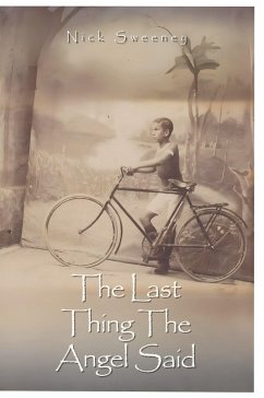 Cover The Last Thing the Angel Said