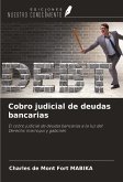 Cobro judicial de deudas bancarias