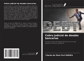 Cobro judicial de deudas bancarias Cobro judicial de deudas bancarias