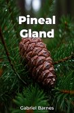 Pineal Gland (eBook, ePUB) Pineal Gland (eBook, ePUB)