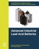 Electrochemical Power Sources: Fundamentals, Systems, and Applications (eBook, ePUB) Electrochemical Power Sources: Fundamentals, Systems, and Applications (eBook, ePUB)