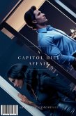 A Capitol Hill Affair (eBook, ePUB)