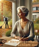 Die Vergangenheit schläft nur (eBook, ePUB)