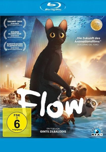 Flow Flow