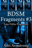 BDSM Fragments #3 (Filthy Fragments, #8) (eBook, ePUB) BDSM Fragments #3 (Filthy Fragments, #8) (eBook, ePUB)