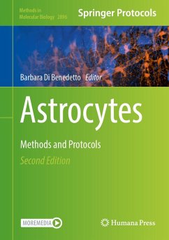 Astrocytes (eBook, PDF)