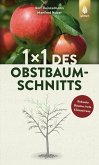 1 x 1 des Obstbaumschnitts 1 x 1 des Obstbaumschnitts