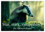 Stur, stark, sympathisch - Der Dachs - Kalender (Wandkalender 2026 DIN A3 quer), CALVENDO Monatskalender