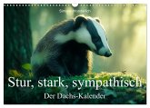Stur, stark, sympathisch - Der Dachs - Kalender (Wandkalender 2026 DIN A3 quer), CALVENDO Monatskalender