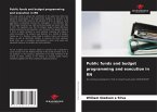 Public funds and budget programming and execution in RN