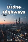 Drone Highways (eBook, ePUB)