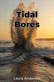 Tidal Bores (eBook, ePUB)