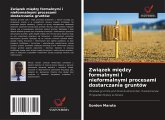 Zwi¿zek mi¿dzy formalnymi i nieformalnymi procesami dostarczania gruntów