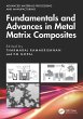 Fundamentals and Advances in Metal... - Bild 1