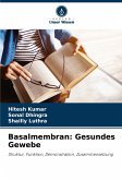 Basalmembran: Gesundes Gewebe Basalmembran: Gesundes Gewebe
