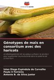 Génotypes de maïs en consortium avec des haricots
