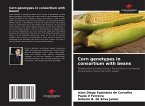Corn genotypes in consortium with beans