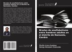 Niveles de analfabetismo entre hombres adultos en el distrito de Namwala, Zambia