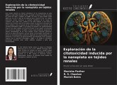 Exploración de la citotoxicidad inducida por la nanoplata en tejidos renales