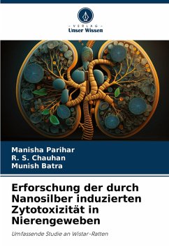 Cover Erforschung der durch Nanosilber induzierten Zytotoxizität in Nierengeweben