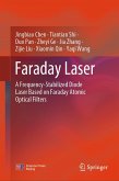 Faraday Laser (eBook, PDF)