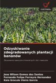 Odzyskiwanie zdegradowanych plantacji bananów Odzyskiwanie zdegradowanych plantacji bananów