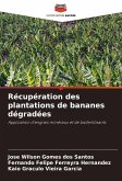 Récupération des plantations de bananes dégradées