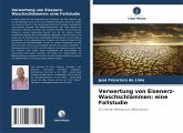 Verwertung von Eisenerz-Waschschlämmen: eine Fallstudie Verwertung von Eisenerz-Waschschlämmen: eine Fallstudie