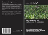 Recuperación de plataneras degradadas Recuperación de plataneras degradadas
