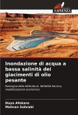 Inondazione di acqua a bassa salinità dei giacimenti di olio pesante Inondazione di acqua a bassa salinità dei giacimenti di olio pesante