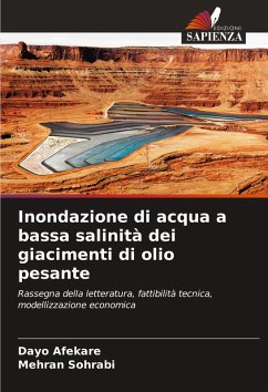 Inondazione di acqua a bassa salinità dei giacimenti di olio pesante Cover Inondazione di acqua a bassa salinità dei giacimenti di olio pesante