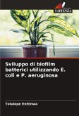 Sviluppo di biofilm batterici utilizzando E. coli e P. aeruginosa