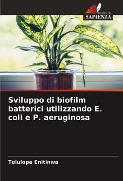 Cover Sviluppo di biofilm batterici utilizzando E. coli e P. aeruginosa