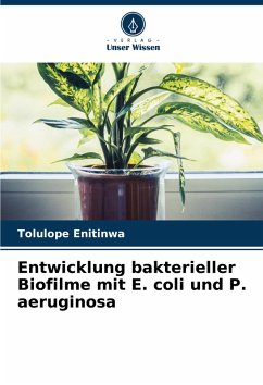 Cover Entwicklung bakterieller Biofilme mit E. coli und P. aeruginosa