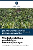 Wiederherstellung geschädigter Bananenplantagen Wiederherstellung geschädigter Bananenplantagen