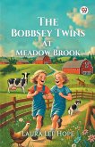 The Bobbsey Twins At Meadow Brook