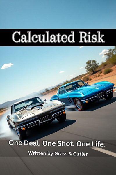 Calculated Risk (eBook, ePUB)