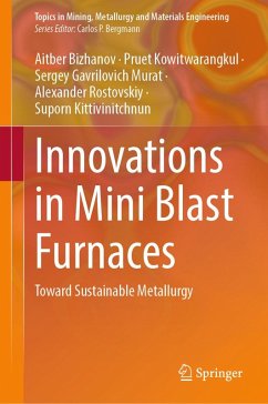 Cover Innovations in Mini Blast Furnaces (eBook, PDF)
