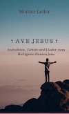 ¿ A V E J E S U S ¿ ¿ A V E J E S U S ¿