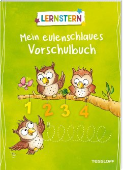 Cover LERNSTERN. Mein eulenschlaues Vorschulbuch