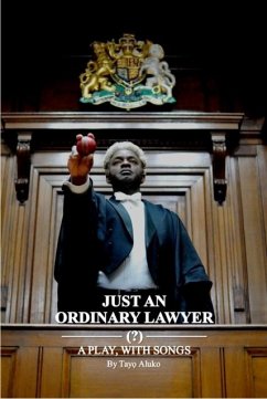 Just an Ordinary Lawyer Cover Just an Ordinary Lawyer