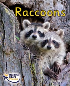 Cover Raccoons