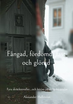 Fångad, fördömd, fast och glömd (eBook, ePUB)