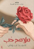 Features of love (eBook, ePUB)