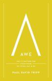 Awe (with Study Questions) (eBook, ePUB) Awe (with Study Questions) (eBook, ePUB)