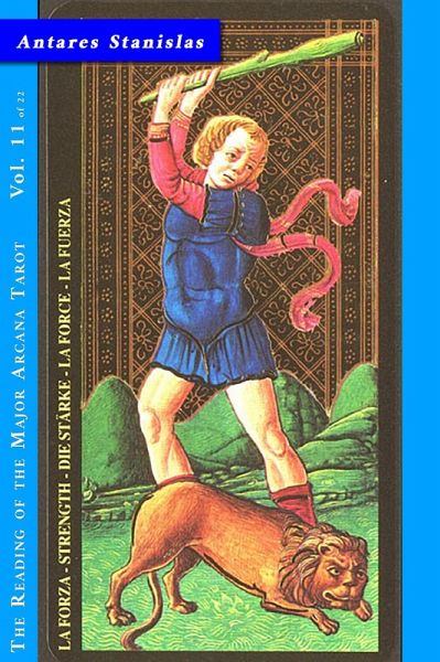 The Strength - Vol.11 of 22 (Reading the Major Arcana Tarot, #11) (eBook, ePUB)