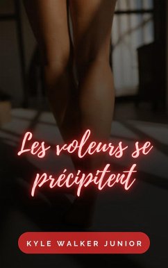 Cover Les voleurs se précipitent (eBook, ePUB)